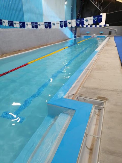 Sharks Swim Aquatic Center en Tlajomulco