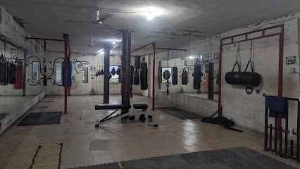 Warrior Punch Boxing en García