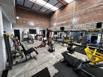 Wild Wolf Gym en Guanajuato